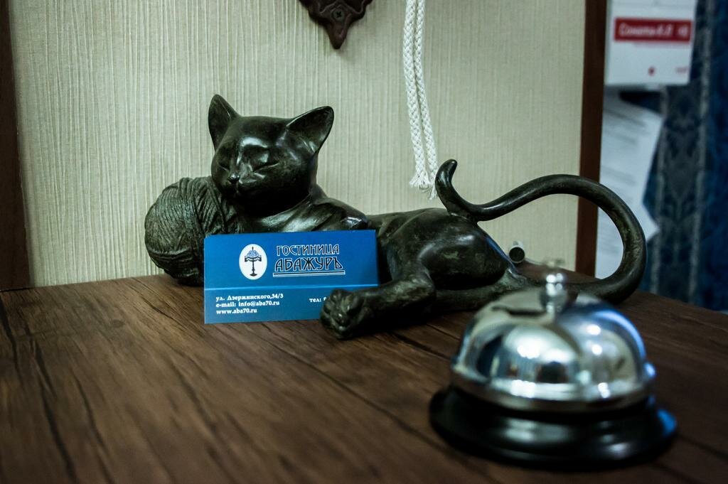 Гостиница Абажуръ Томск-21