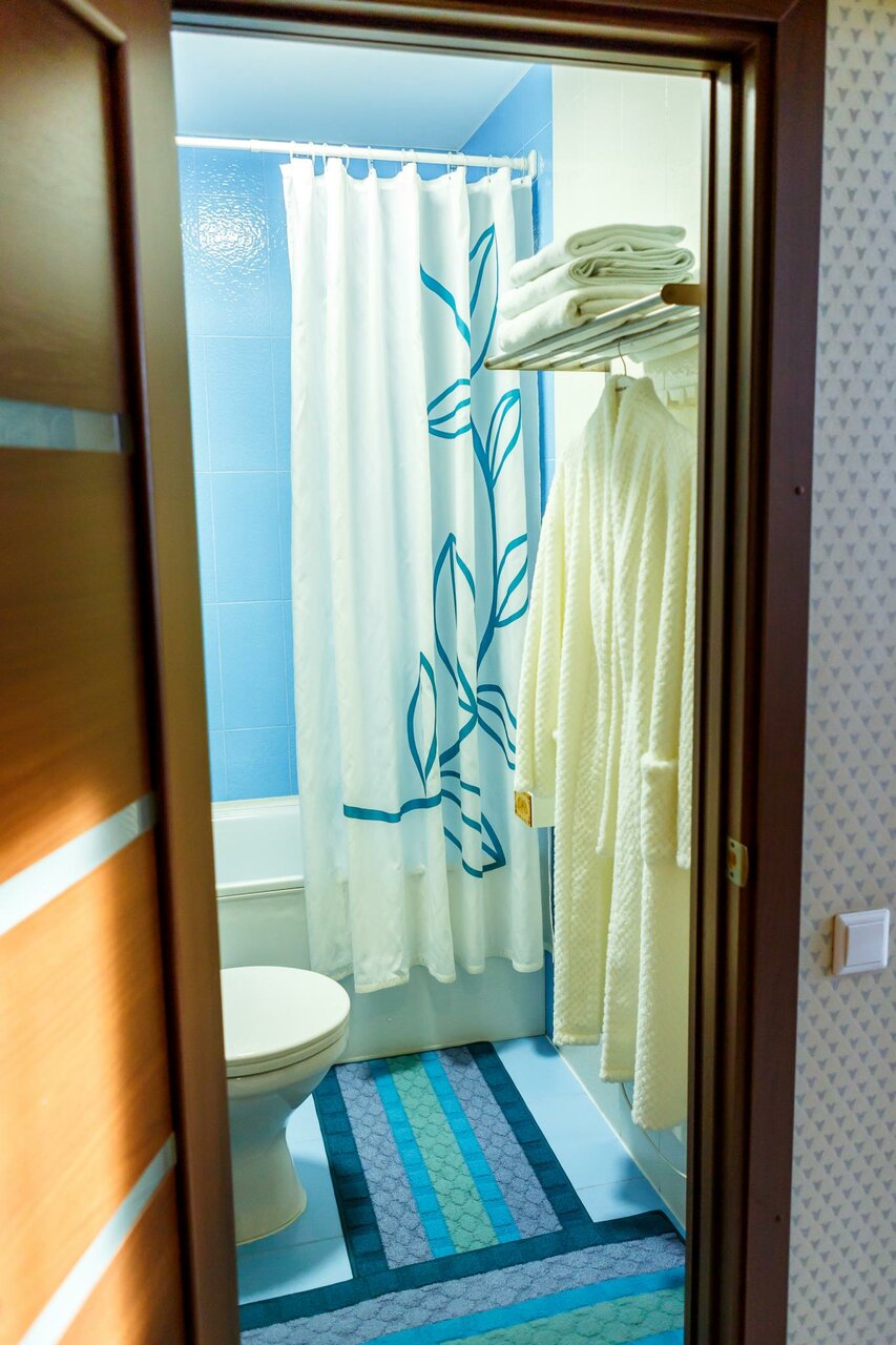 Гостиница Абажуръ Томск-170