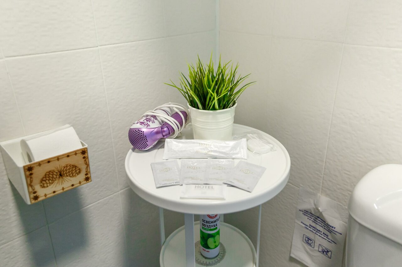 Гостиница Абажуръ Томск-205